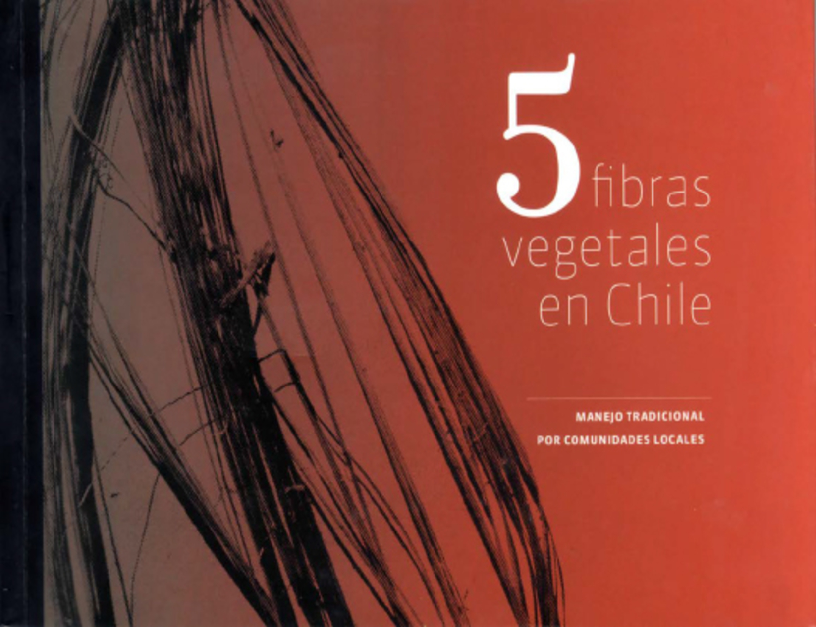 5 fibras vegetales en Chile publicacion artesaniauc UC 1