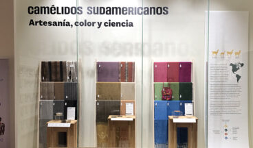 cabecera materioteca camelidos sudamericanos