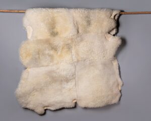 608650692 1177913064552705 4258007481462080993 n