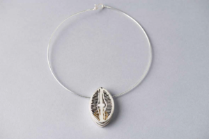 Diploneis, microalga subantártica 2015